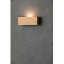 朝日 LED壁掛捕虫器 hidamari(キャラメル) (1台) 品番:HIDAMARI-CM