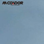 껺 ɥ ݸ ˥塼ӥˡ륷 ʿ 910mm20m 졼 (1) ֡F-169-H-GR