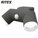 【6/4 20:00〜6/11 01:59迄 ポイント2倍! 楽天スーパーSALE】ライテックス RITEX 防犯用センサーライト 4.5W×2灯 乾電池式シン...