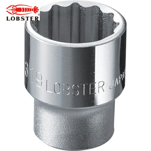 ֥ƥå  å 12 19.0mm 9.5mm (1) ֡LM319