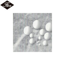 tP~J tbf(PTFE)o[^Cv 19.05 2 (1) iԁFNR0346-013