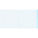 パピルス デリバリーパック ポケットタイプ 120×240 100枚入 全面糊 (1Pk) 品番:PA-001T