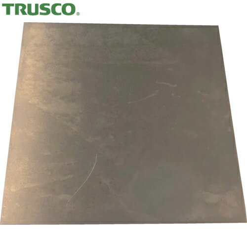 TRUSCO(ȥ饹) ץ졼 Ŵ 1.0100100mm (1) ֡SISPC1.0-100-100