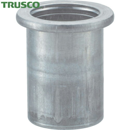 TRUSCO(ȥ饹) ץʥåʿƬ ĸ4.0 M6X1.0 (22) (1Pk) ֡T-BN-6M40A