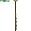 TRUSCO(ȥ饹) ڹӥ ᡼ M4.8X120 20 (1Pk) ֡TMB-48120