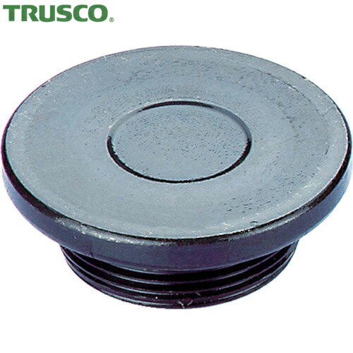 ɤ㤨֥ȥ饹 TRUSCO F եåȥѥå 졼22mm (1 ֡T22-FPפβǤʤ493ߤˤʤޤ