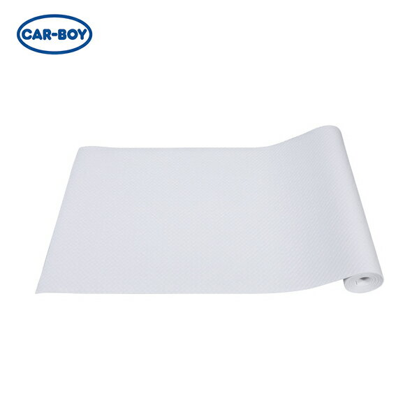 ܡ CAR-BOY ȥ󥯥롼 γߤ NEWߤޤǤD-30 ʻۥ磻 (1) ֡UWT-20