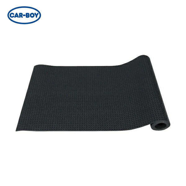 ܡ CAR-BOY ȥ󥯥롼 γߤ NEWߤޤǤD-30 ʻ֥å (1) ֡UWT-19