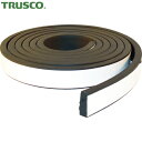 TRUSCO(トラスコ) EPDM高機能スキマテープ シャッター用 30X10mmX3. (1巻) 品番：TSKM-3531