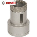 BOSCH(ボッシュ) X-LOCKドライスピードダイヤ 30mm (1個) 品番：2608599033