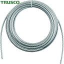 【6/22 20:00~6/27 01:59迄 ポイント2倍 お買い物マラソン】 トラスコ TRUSCO 手動ウインチ用ワイヤーΦ12×10M用(切りっ放し) (1本) 品番:WW12-10