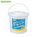 サラヤ クールリフレ 70枚入り (1Cs) 品番：42411