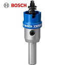 BOSCH({bV) dz[\[21mm (1) iԁF2608901404