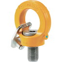 YOKE キー付きアイポイント インチサイズ UNC2ー4.5×3.03インチ 25.6t (1個) 品番:8-292K-120