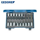 ゲドレー GEDORE ヘキサゴンビットソケットセット 1/2 15セット IN19LKM (1S) 品番:6129360