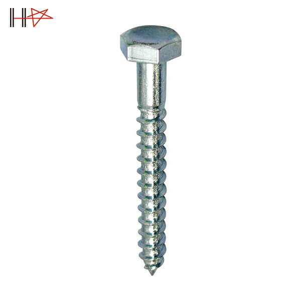 ɡϥ ˥ 塼 6x4010Ƭˡ1ܡ (1) ֡10101770