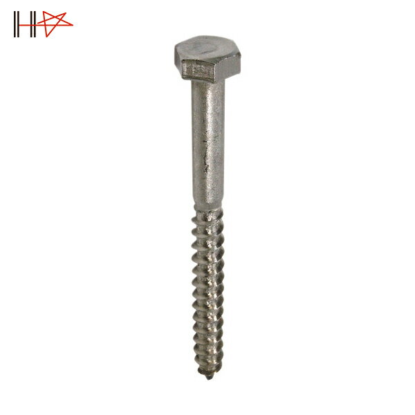 ɡϥ ƥ쥹 塼 6x4010Ƭˡ1ܡ (1) ֡10101792