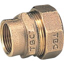 【6/22 20:00〜6/27 01:59迄 ポイント2倍 お買い物マラソン】 タブチ TBC PE継手メネジ1種20mm (1個) 品番:20PGV-1