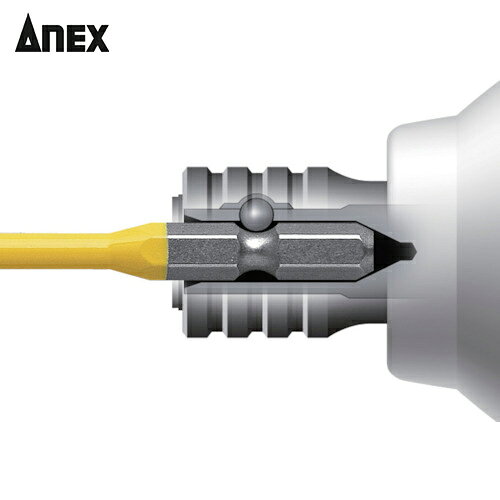 アネックス Anex カラービット2本組 段付+1×100 (1Pk) 品番：ACMD-1100