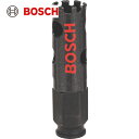 BOSCH(ボッシュ) 磁気タイル用ダイヤモンドホールソー 19mm (1本) 品番：DHS-019C