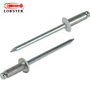 ロブテックス エビ カラーブラインドリベット4-2アルミ/スチール(300本入)リベット長6.5MM ホワイト (1箱) 品番:CNSA42WEB