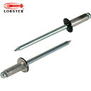 ロブテックス エビ カラーブラインドリベット4-4アルミ/スチール(300本入)リベット長9.9MM ブラック (1箱) 品番:CNSA44BEB