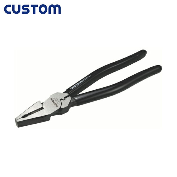 CUSTOM  пĶϥڥʰա (1) ֡C10-200HP