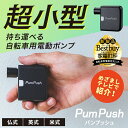 【ポイント5倍★LINEクーポン300円OFF】 電動空気入