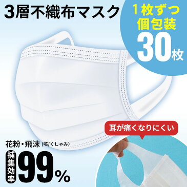 使い捨てマスク 全国マスク工業会 不織布マスク 30枚 個包装 使い捨て 白 痛くない 息がしやすい 幅広ゴム 耳が痛くならない 平ゴム 大人 立体 伸縮性 フィルター 大人用 大きい 快適 ふつうサイズ 耳 個別包装 口元 ワイヤー 送料無料