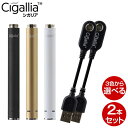 シガリア 2本セット 互換バッテリー 予備バッテリー 電子タ