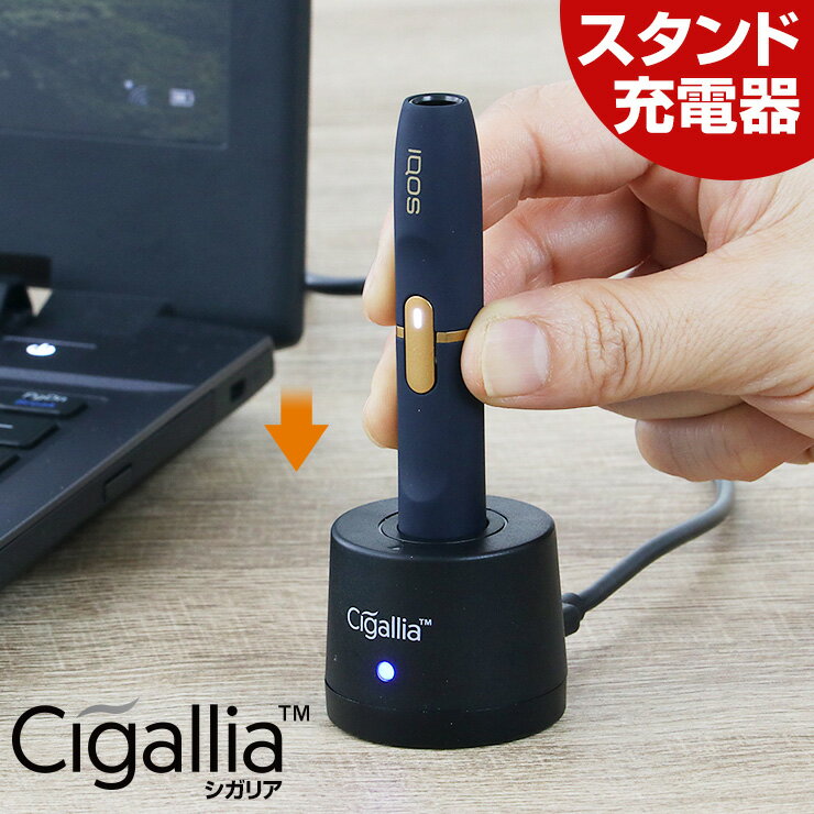 【LINEクーポン300円OFF】 充電スタンド Cigallia シガリア 車載 充電 器 卓上 充電器 車 ホルダー 充電器 充電器 車 チャージャー のみ 充電器 おすすめ yy