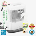【セット商品】 アイリスオーヤマ リンサークリーナー RNS-300 + スリーエス ペットのつけた シミ よごれ 万能落としスプレー 3S 100ml / 2...