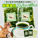 【スーパーSALE限定価格】【国産・無農薬】 チモシー 1番刈り 朝収穫 生牧草1kg 3kg イタリアンライグラス クローバー クッキー 無農薬 無添加 自然農園 国産うさぎ モルモット チモシー チンチラ 小動物 自然農園 チンチラ 犬 猫 鳥 クッキー 牧草 床材 ペット用