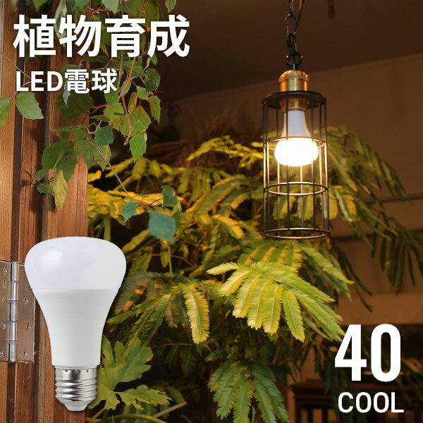 【クーポンで10%OFF! 5/18.20限定】 植物育成ライト PLANTS LIGHT COOL 40 昼白色 植物育成 LED 電球 E26 育成ライト 植物 照明 LED電球 観葉植物 プランツライト BRID ブリッド 育成 光合成 …