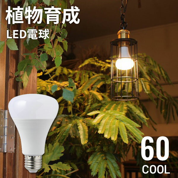 【クーポンで10%OFF! 5/18.20限定】 植物育成ライト PLANTS LIGHT COOL 60 昼白色 植物育成 LED 電球 E26 育成ライト 植物 照明 LED電球 観葉植物 プランツライト BRID ブリッド 育成 光合成 …