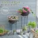 【5/5(日)限定 クーポンで10%OFF!】 フラワースタ