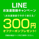 【クーポンで15%OFF! 4/24 20:00カラ】 サンカ 充電式スリムハンディクリーナー SHC-101 専用 ACアダプター SHC-101AF01 3