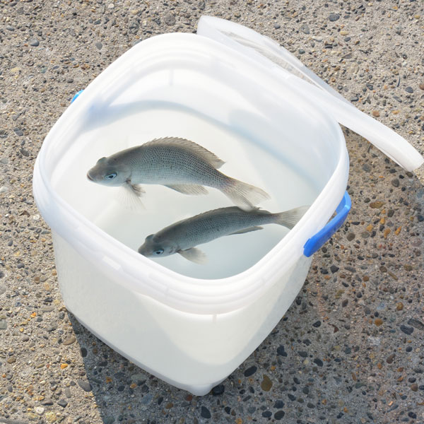 【10%OFFクーポン配布中】MB-10N / BL【バケツ】MULTI BUCKET ( マルチバケット ) 10L コマセバケツ キャンプ 釣り フィッシング ゴミ箱 釣具 密閉 蓋付き アウトドア レジャー バーベキュー 木炭 収納 防災 保管通販格安セール情報 楽天 通販