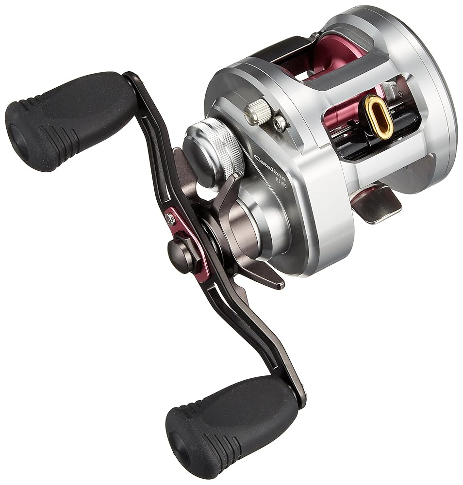 ダイワ(DAIWA) ベイトリール 15 キャタリナBJ 100P-RM (2015モデル)