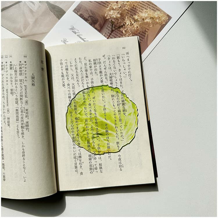 ������ ������� �Ҳ�� 4�祻�å� �ܤΤ����� ���⤷���� ���� �֥å��ޡ��� ������������ �ꥢ�� Ʃ�� ʸ˼�� ���ؽˤ� ���襤�� ���� 4�祻�å� ��ڤ����� �֥å��ޡ����� SNS�Ǥ� �� �֥å� ��Ģ �Ρ��� �ɽ� ���� �ڤ��� �� ����ƥꥢ ������� �ץ쥼��