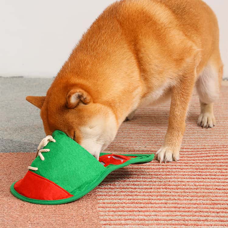 サンプル画像2