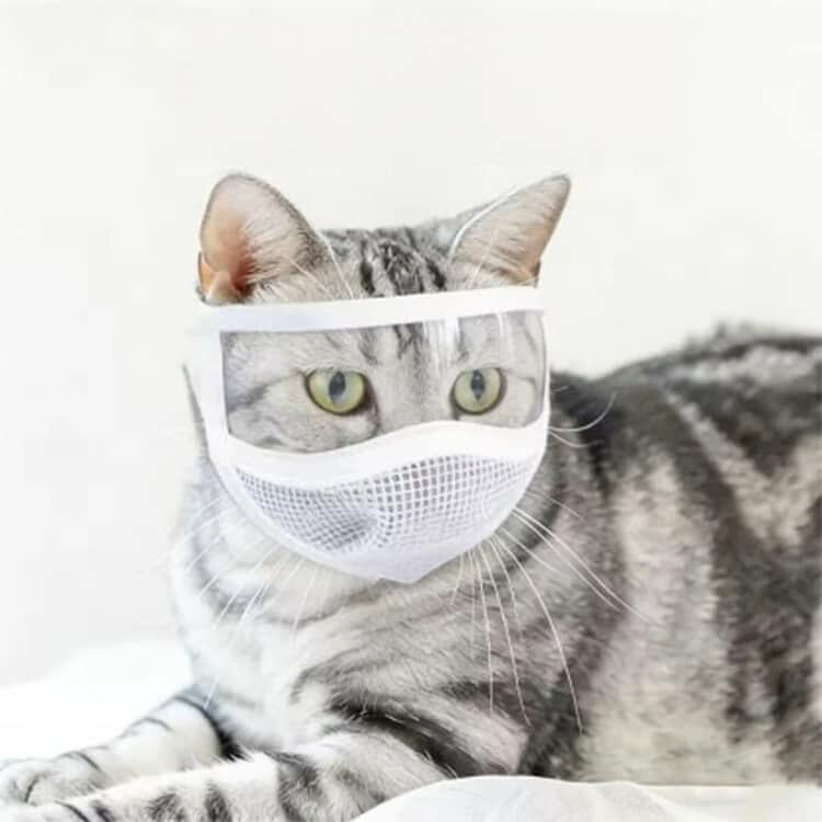 3SET-STOREの猫 防舐め フェイスマスク 猫用マスク 猫 猫用マスク キャットマスク 噛みつき防止 ペット用品 防噛 補助具 猫用爪切り補助グッズ 猫用品 爪切り対策 猫マスク 爪きり 口輪 目薬差し 耳掃除 傷舐め防止 ケア ねこ 通気性｜アングル3
