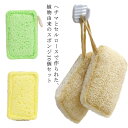 キッチン用品 自然 食器洗い 少しの洗剤でOK エコ 高吸収力 台所スポンジ 食器用スポンジ セルロース ヘチマ 食器 皿洗い 食器用 天然 洗い 10個セット おしゃれ かわいい ナチュラル キッチンスポンジ キッチンツール キッチンスポンジ 使いやすい 10個組 吊り下げ