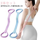 筋トレ トレーニングチューブ 2本セット ジム用 バンド エクササイズバンド 肩こり解消 ヨガバンド バンド 矯正ベルト トレーニングバンド フィットネスバンド ストレッチバンド ピラティス 肩甲骨はがし トレーニングバンド 姿勢矯正 ダイエット 背中 コンパクト