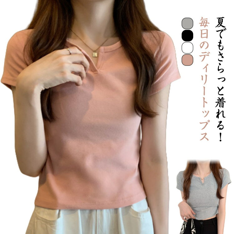 Rakuten - レディース 半袖トップス 半袖 プルオーバー トップス レディース スリム キーネック シンプル フィット 秋 オフィスカジュアル きれいめ おしゃれ 春夏 ショート丈 大きいサイズ 無地 着瘦せ 大人 女性 夏服