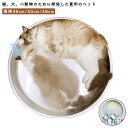 クール猫鍋 猫ベッド クールベッド 猫用 猫用ベッド 熱中症対策 アルミ製 ペット用 ひんやり ネコベッド クール猫鍋 ひんやり 猫鍋 暑さグッズ 室内用 夏用 ねこ鍋 暑さ対策 小型犬 ペットベッド 夏 アルミベッドベッド ベッド 冷却 小動物