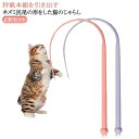 猫じゃらし ネズミ尻尾の形をした猫のじゃらし 2本セット 猫おもちゃ ネズミのしっぽ 猫のお好みじゃらし シリコン製 猫玩具 虫 歯磨き 猫用おもちゃ 釣り竿 ...