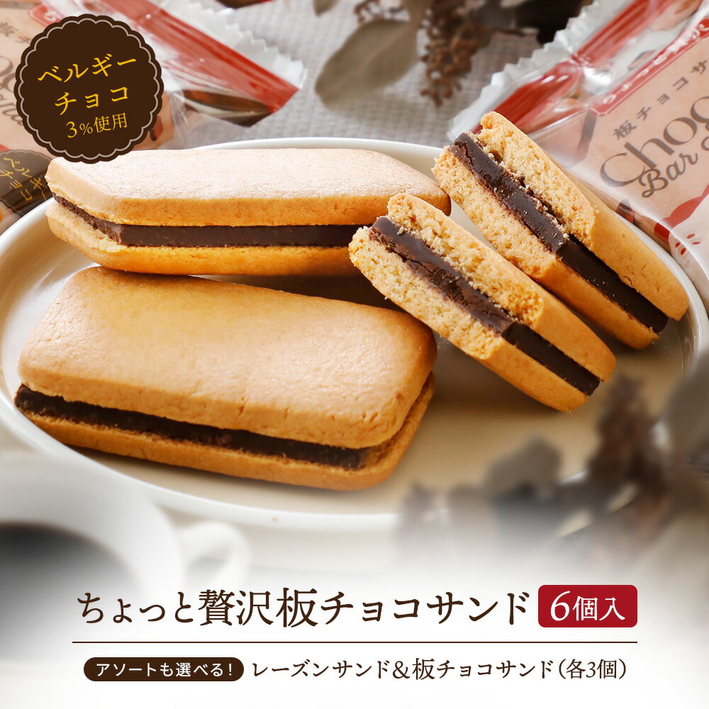 板チョコサンドクッキー アソート（板チョコサンド＆レーズンサンド） 6個 お菓子 ギフト プチギフト 内祝い チョコレート 個包装 メール便 お試し ポイント消化 チョコクッキー ショコラ 送料無料 クリスマス バレンタイン