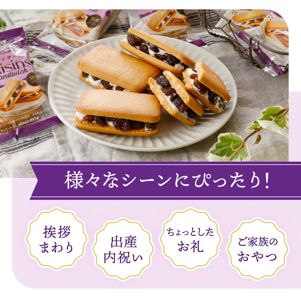 ��P5+����5��OFF�����ݥ�9��20�����ۡ�����ˤ�����������˥塼���롿 1000�ߥݥå��� ����̵�� ����ä����� �졼���󥵥�� 6������ ����ɥ��å��� �������� ��� ���ۻ� ���ե� �Ƥ��ۻ� ���å��� ������ ���졼���� ����� �ݥ���Ⱦò� �Ф�ޤ��ۻ�