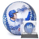 【世界2025個限定】大谷翔平 記念ボール ワールドシリーズ チャンピオン 2024 ディスプレイケース ロットNo.付き MLB公式 限定 グッズ SHOHE...